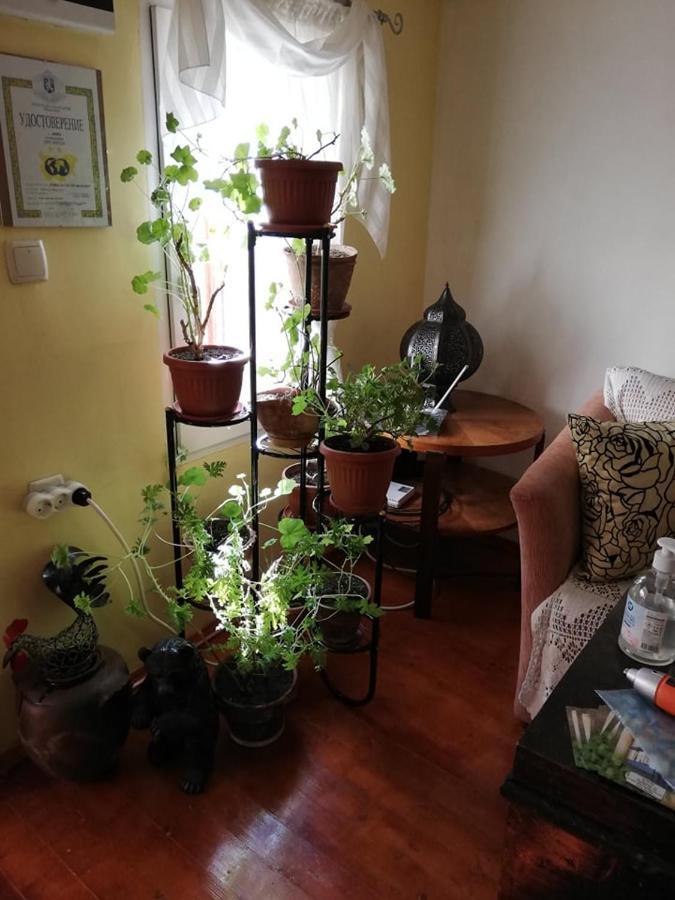 Guest House Vodolei Котел Екстер'єр фото