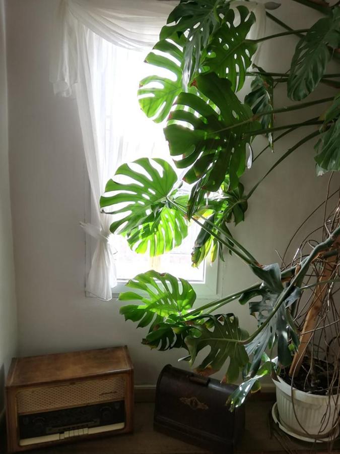 Guest House Vodolei Котел Екстер'єр фото